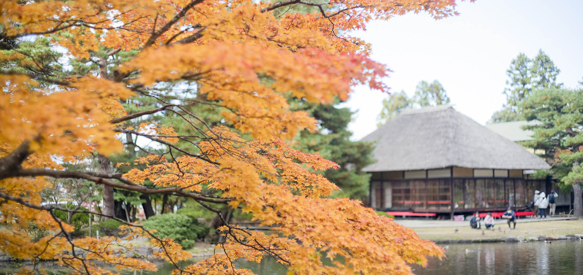 国指定名勝会津松平氏庭園『御薬園』 歴史と四季の香る庭園