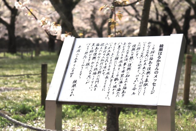 鶴ヶ城の桜・はるか(4/22現在)