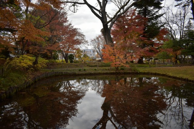 <紅葉情報>　御薬園