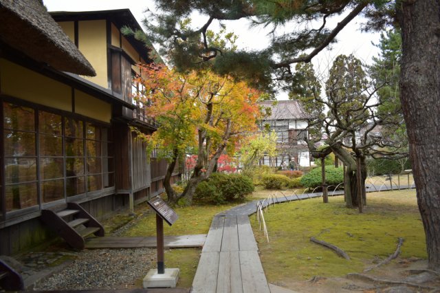 <紅葉情報>　御薬園