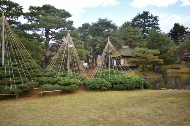 会津松平氏庭園『御薬園』の雪吊り