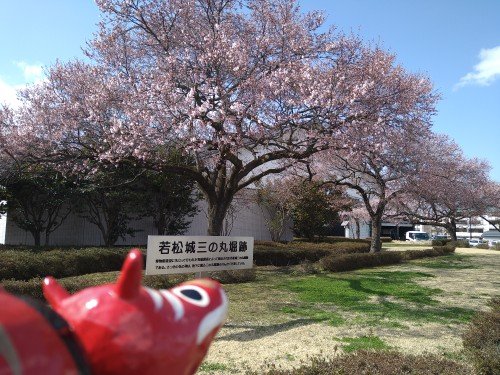 ＼＼さくら情報／／福島県立博物館