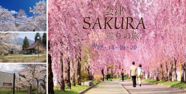 【ツアーのご案内】”ふくしまプレDC企画 ・会津SAKURA名所巡りの旅”の予約受付を開始しました！