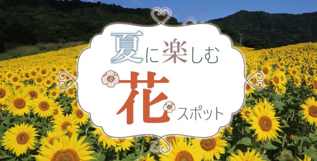 特集「夏に楽しむ花スポット」を公開しました！