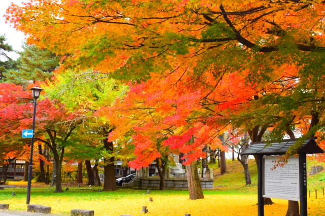 特集「会津の紅葉を見に行こうよう！」を更新しました！