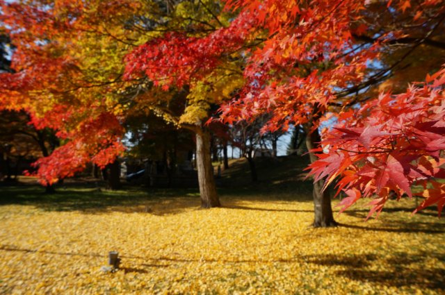 特集「会津の紅葉を見に行こうよう！」を更新しました！