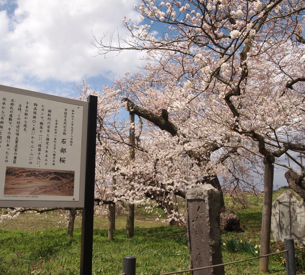 石部桜