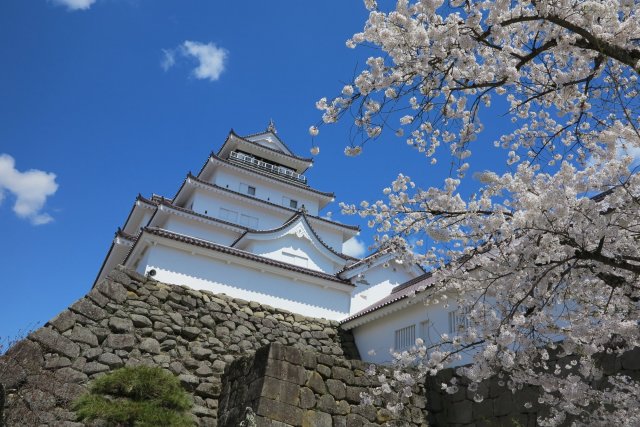 鶴ヶ城さくらまつり