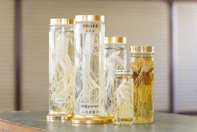 清水薬草店