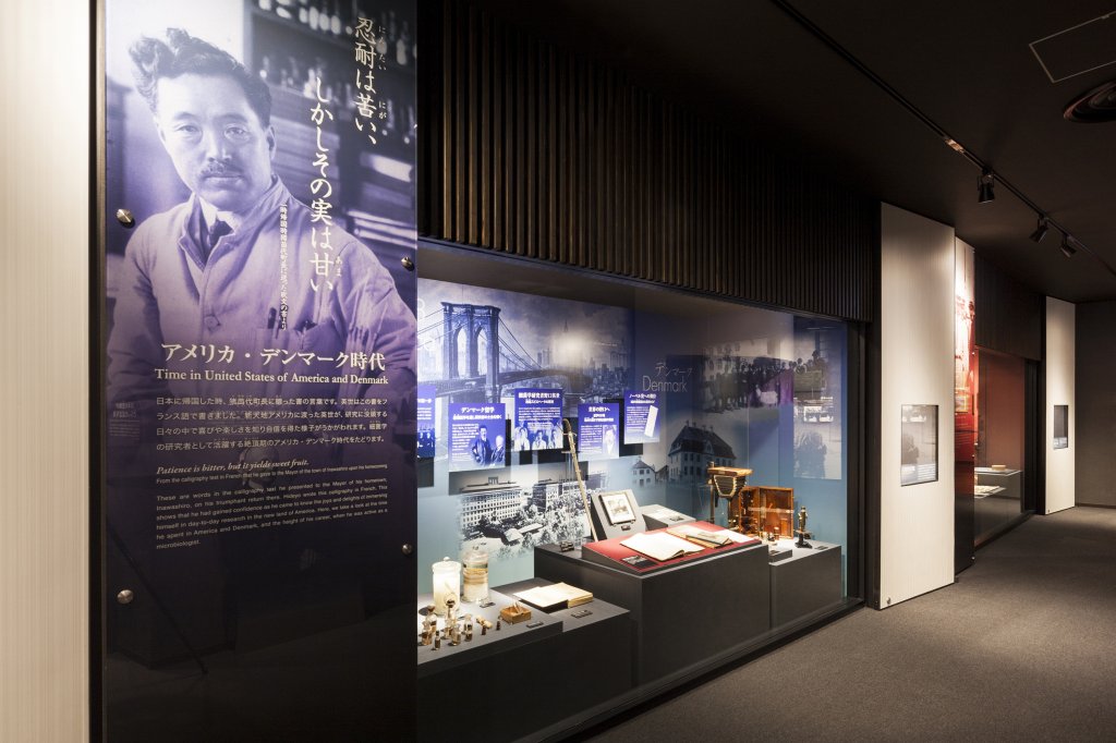 野口英世の生涯展示室
