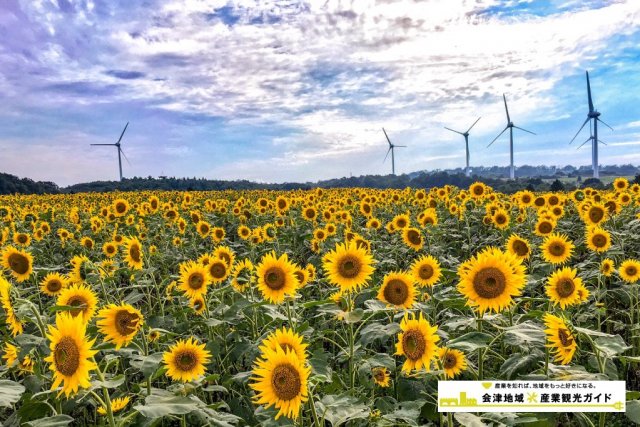 郡山布引高原風力発電所 