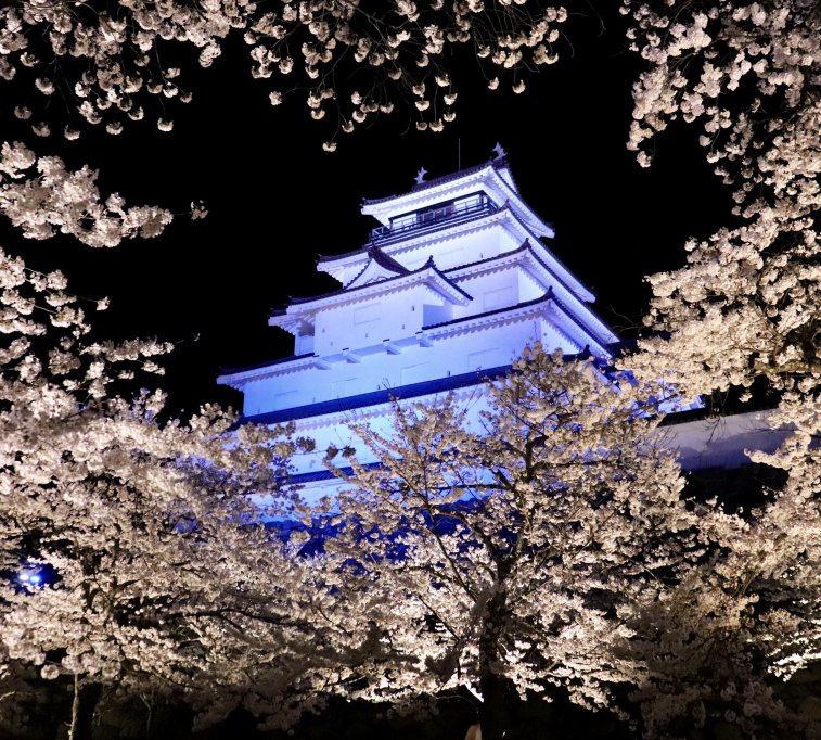 鶴ヶ城公園　春のライトアップ