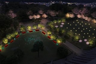 本丸芝生広場（5月1日まで一般開放します）