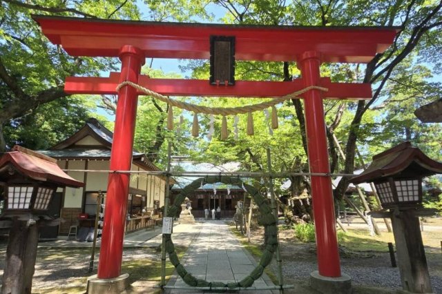 蚕養國神社　夏越大祓・茅の輪くぐり神事