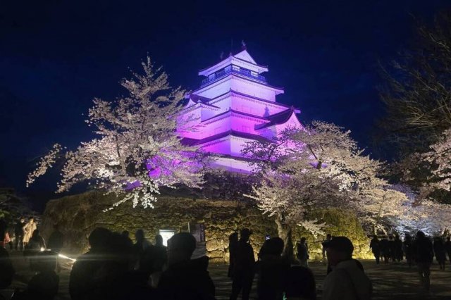 鶴ヶ城公園　春のライトアップ