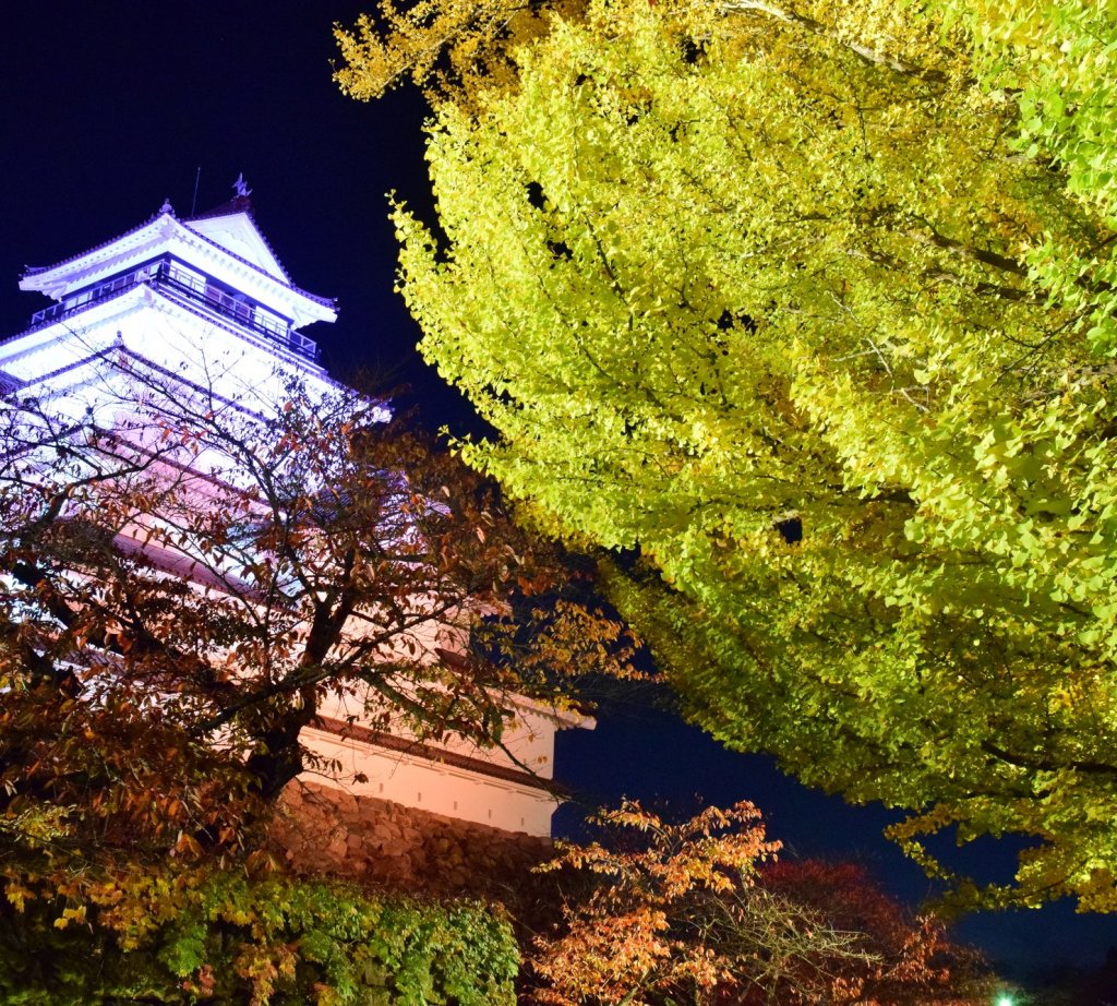 鶴ヶ城紅葉ライトアップ