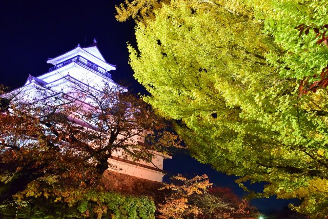 鶴ヶ城紅葉ライトアップ