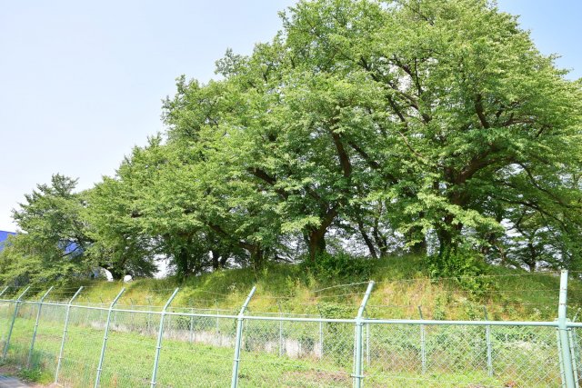 天寧寺町土塁(国指定史跡)