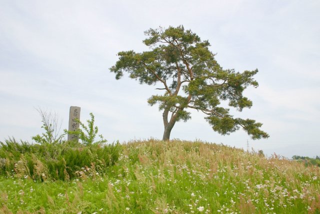田村山古墳