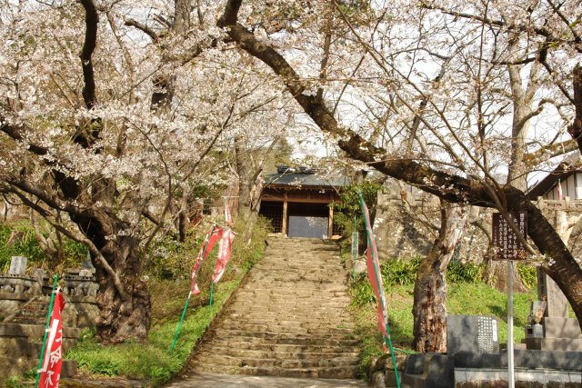 大龍寺