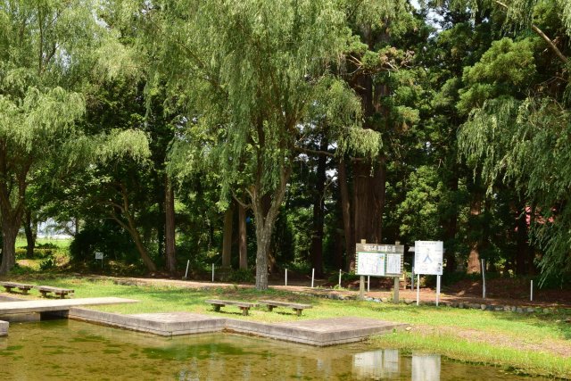 やすらぎ広場ホタルの森公園