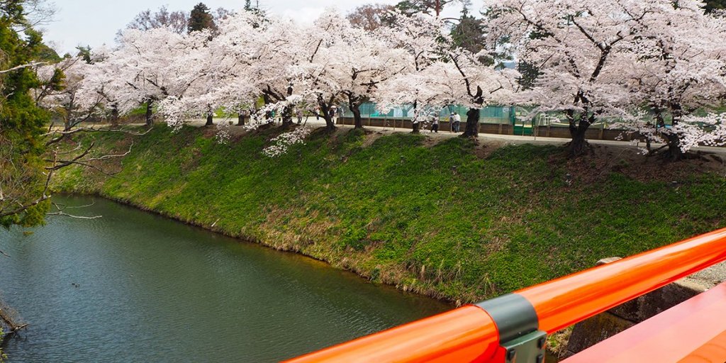 鶴ヶ城廊下橋越しの桜