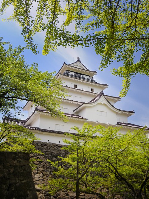 夏_鶴ヶ城新緑