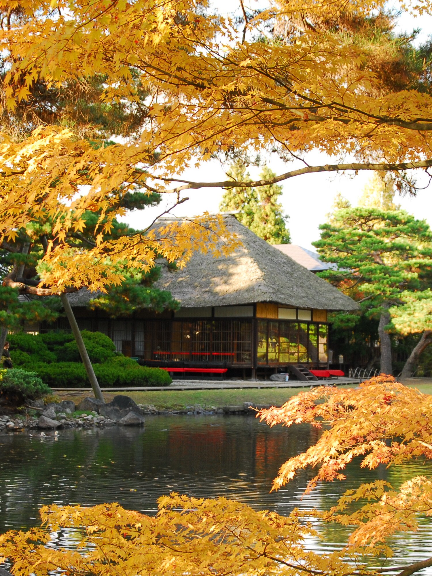 秋_御薬園