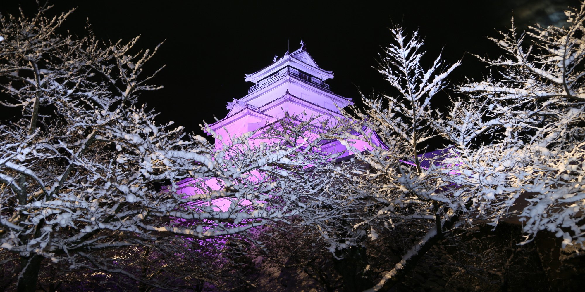 冬_鶴ヶ城夜