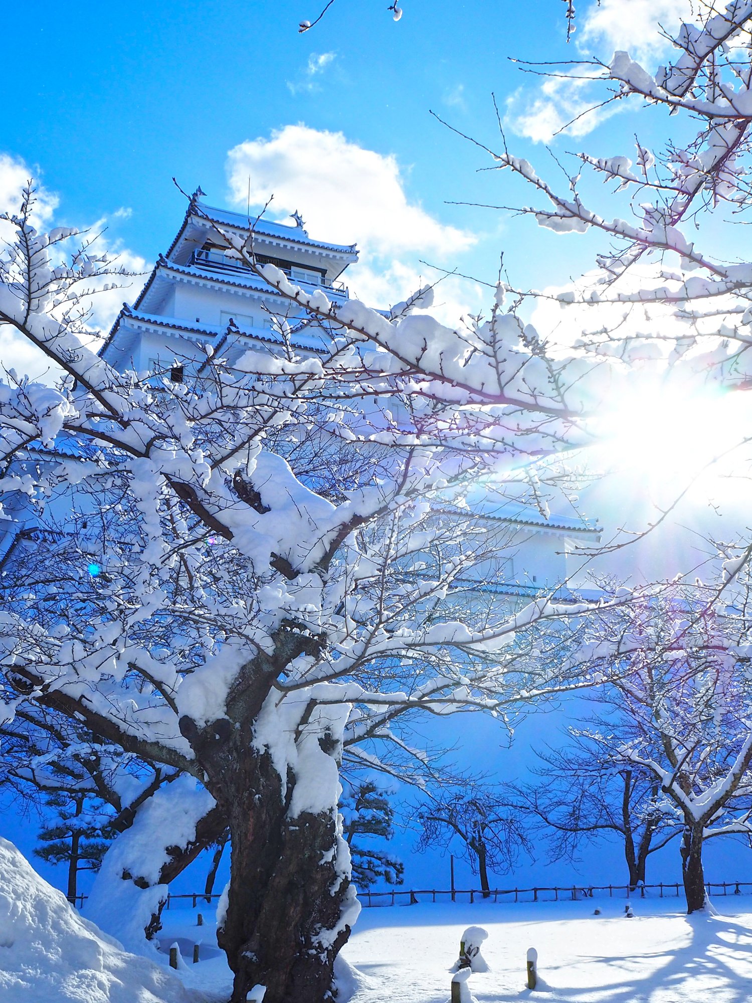 鶴ヶ城の雪景色