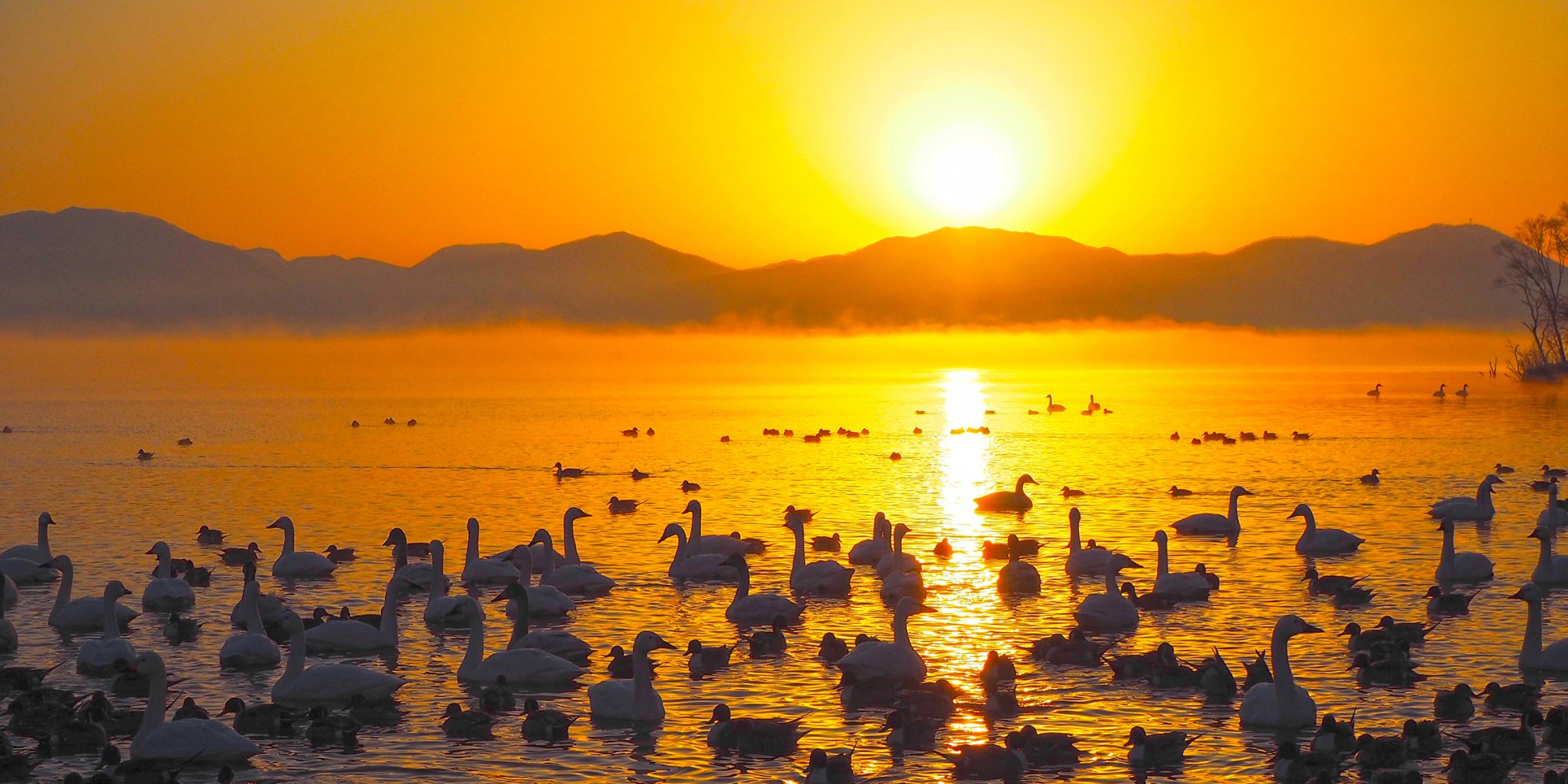 景色_夜明けの猪苗代湖