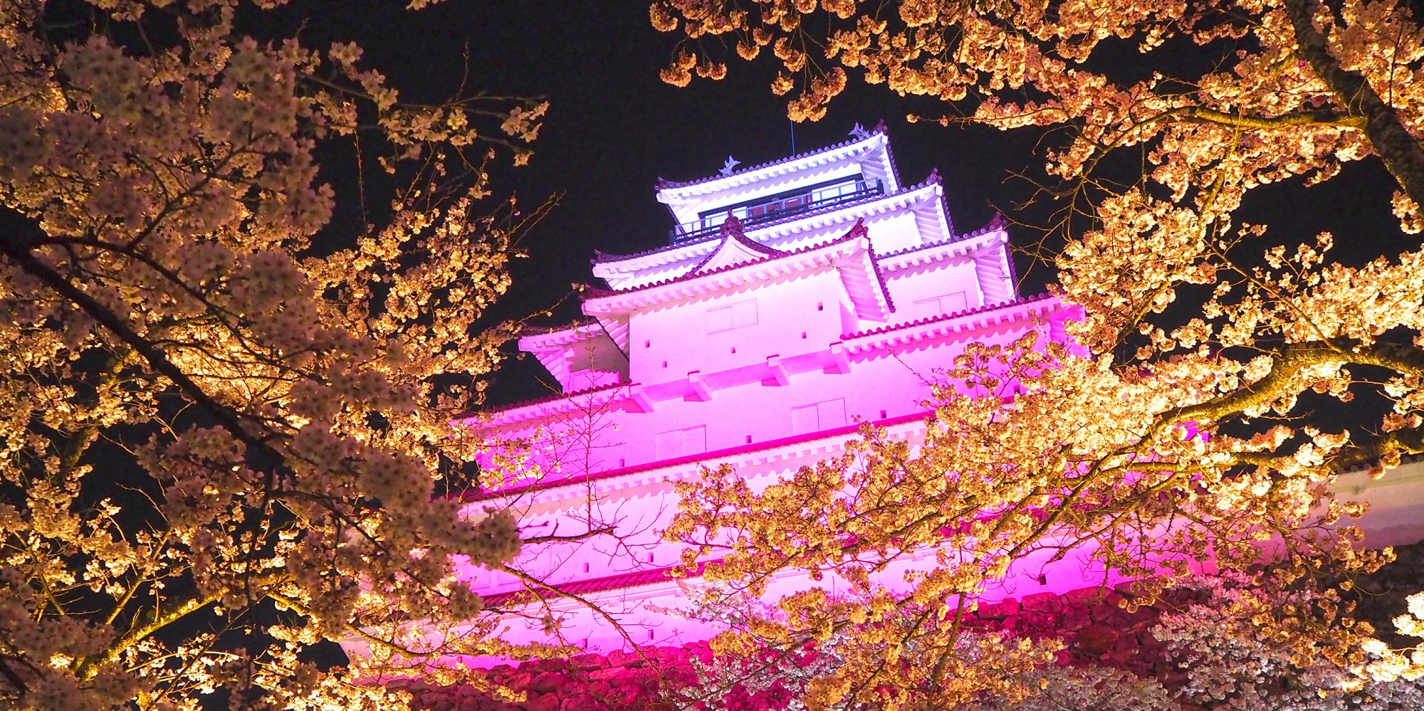 20_鶴ヶ城桜_夜桜