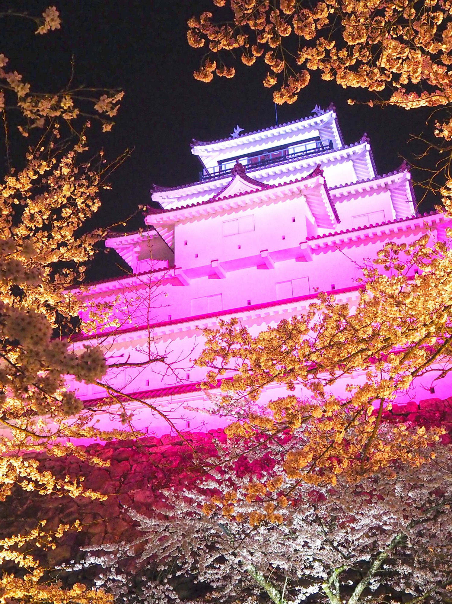 20_鶴ヶ城夜桜_sp