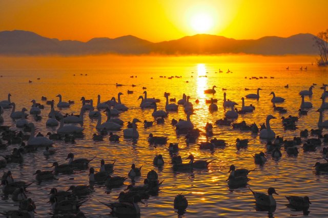 夜明けの崎川浜（冬）
