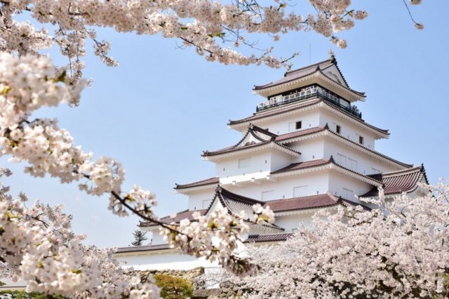 鶴ヶ城見学