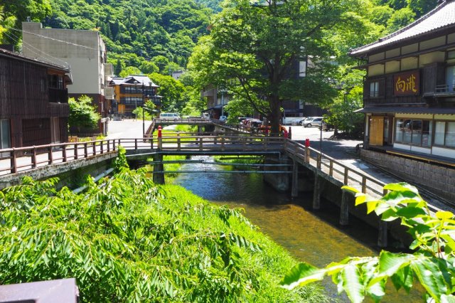 東山温泉_湯川と緑