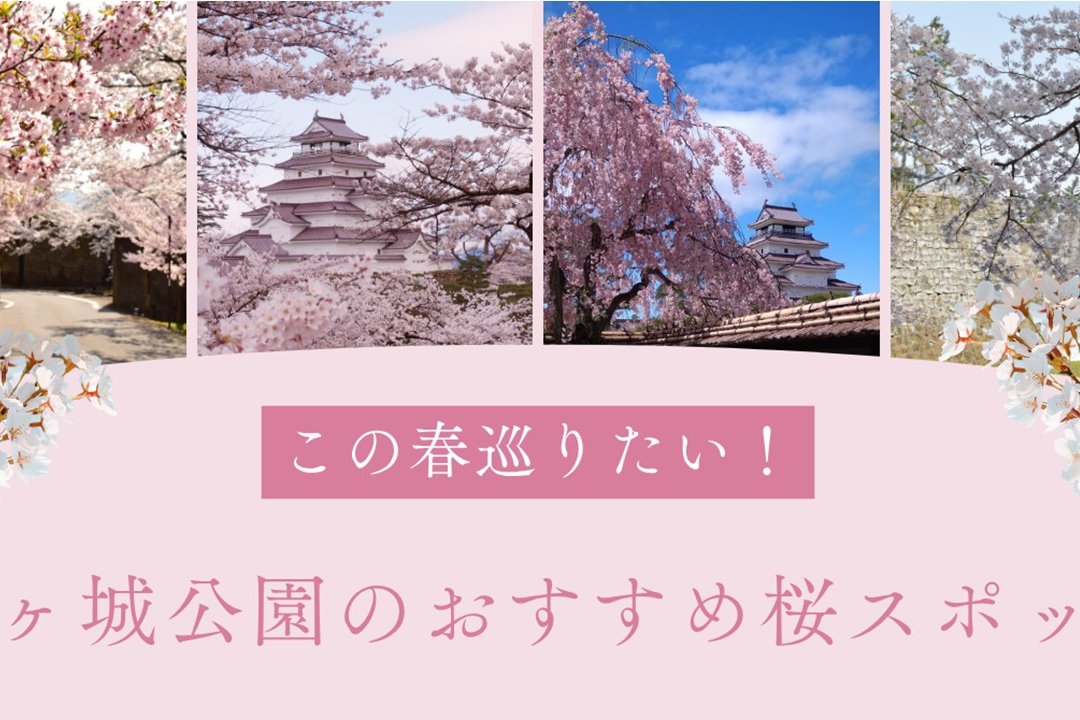 鶴ヶ城公園のおすすめ桜スポット