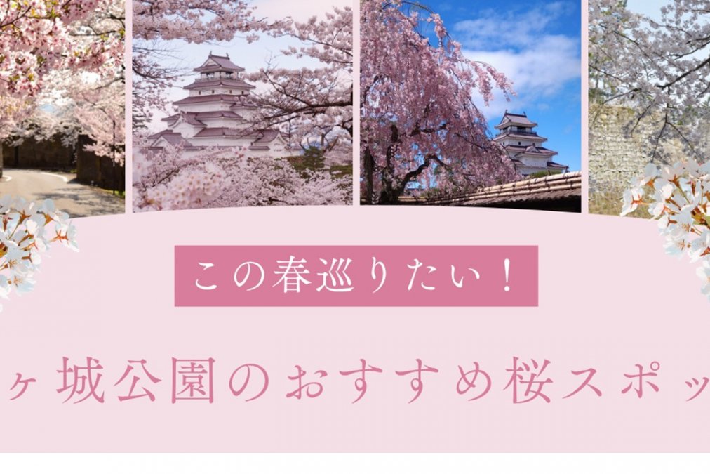 鶴ヶ城公園のおすすめ桜スポット
