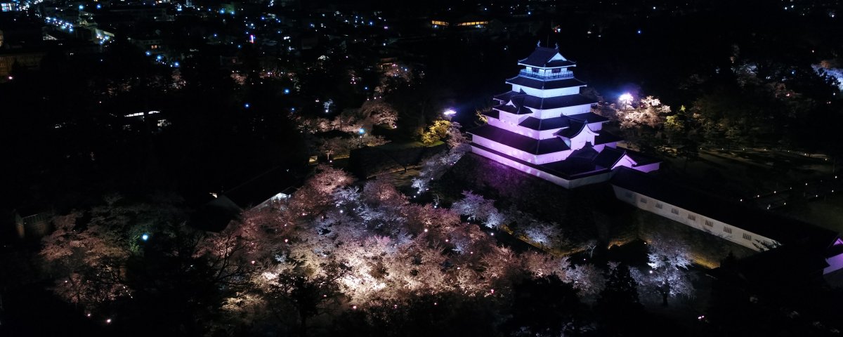 鶴ヶ城公園桜ドローン２