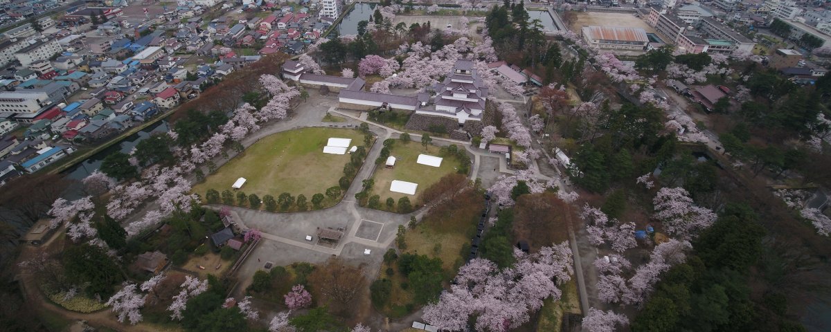 鶴ヶ城公園桜ドローン４