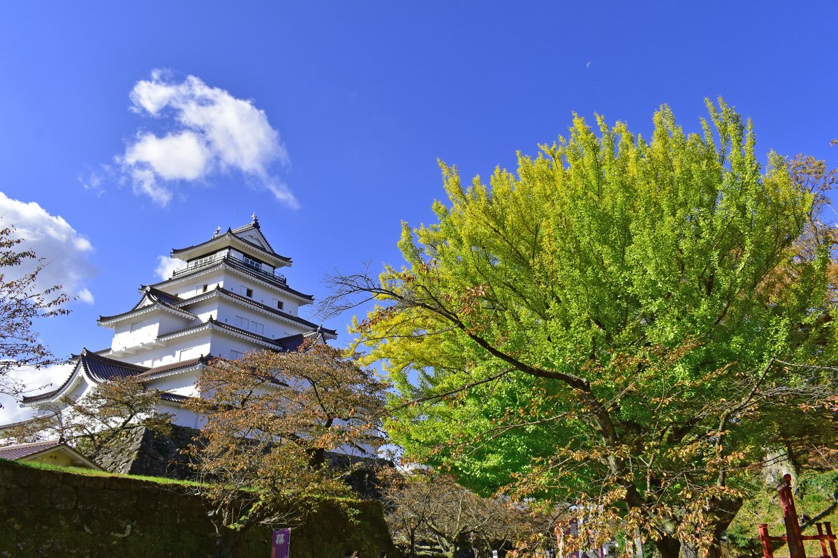 鶴ヶ城を見る