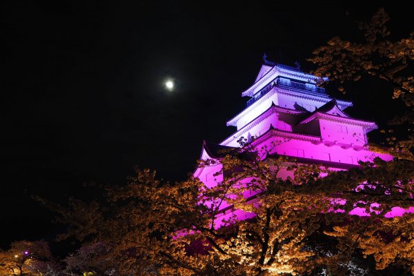 鶴ヶ城公園の桜ライトアップ