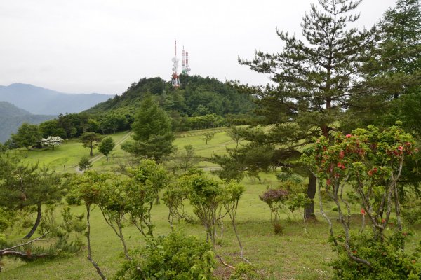 背あぶり山